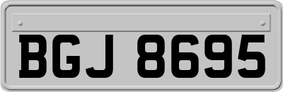 BGJ8695