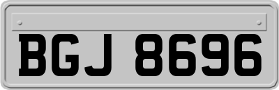 BGJ8696