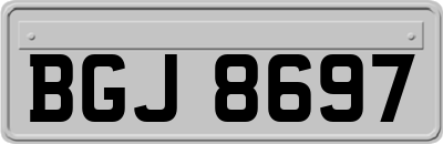 BGJ8697