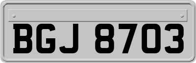 BGJ8703