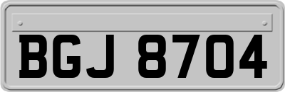 BGJ8704