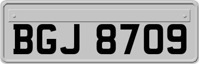 BGJ8709
