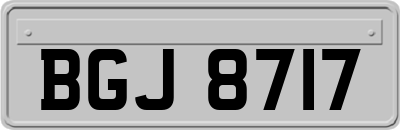 BGJ8717