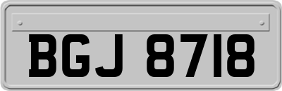 BGJ8718