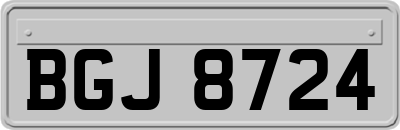 BGJ8724