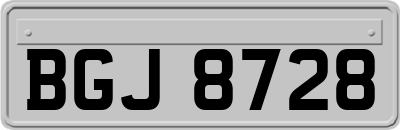 BGJ8728