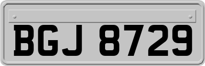 BGJ8729