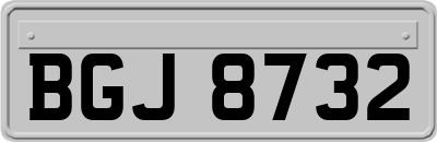 BGJ8732