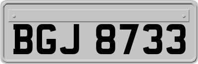 BGJ8733