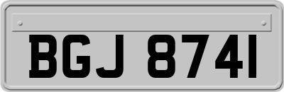 BGJ8741