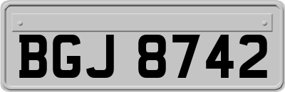 BGJ8742