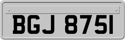 BGJ8751