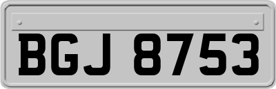 BGJ8753