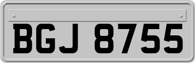 BGJ8755