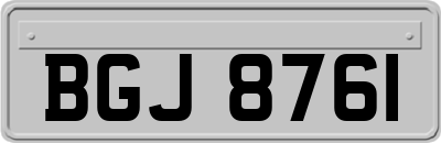BGJ8761