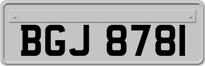 BGJ8781
