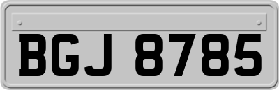 BGJ8785