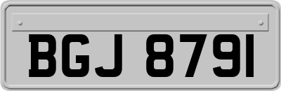 BGJ8791