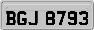 BGJ8793