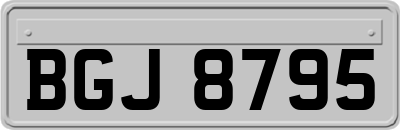 BGJ8795