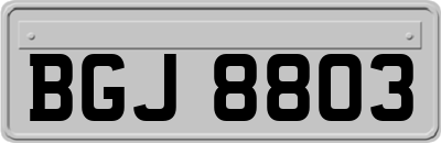 BGJ8803