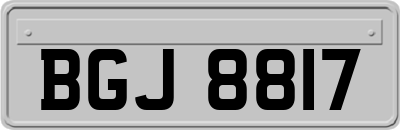 BGJ8817