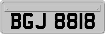 BGJ8818