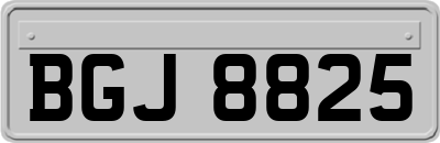 BGJ8825