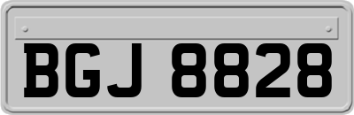 BGJ8828