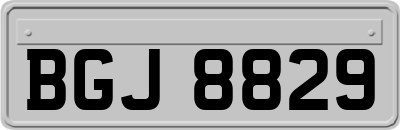 BGJ8829