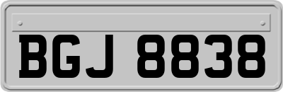 BGJ8838