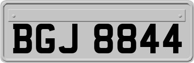 BGJ8844