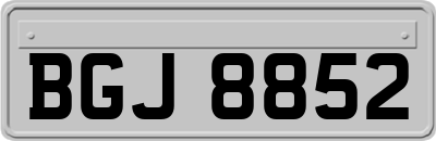 BGJ8852
