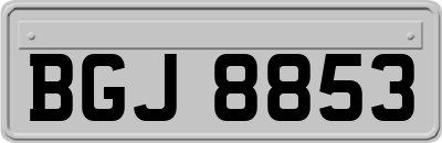 BGJ8853