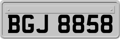 BGJ8858