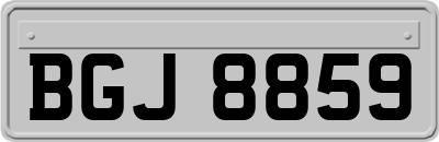 BGJ8859