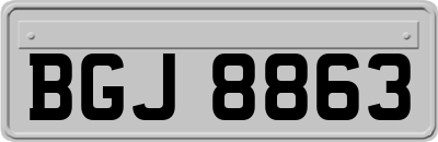 BGJ8863