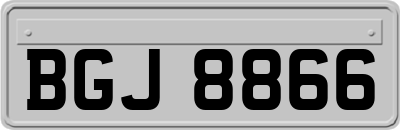 BGJ8866