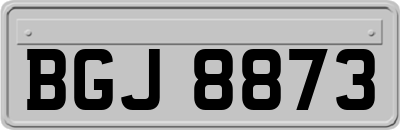 BGJ8873