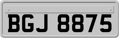 BGJ8875