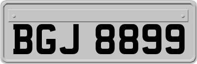 BGJ8899