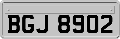 BGJ8902