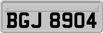 BGJ8904