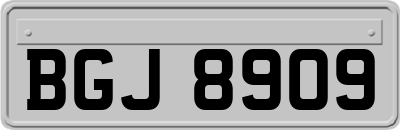 BGJ8909