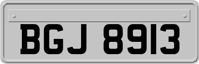 BGJ8913