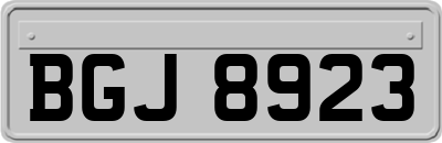BGJ8923