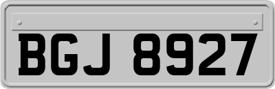 BGJ8927
