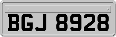 BGJ8928