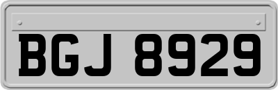 BGJ8929