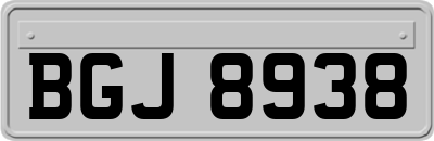 BGJ8938